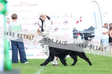 181564_rin_01_R62_0300.JPG