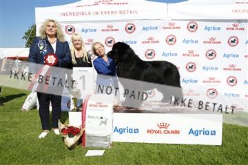 181564_kar_01__62_8379.JPG