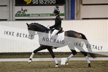 141472_abo_01__AB15896.JPG