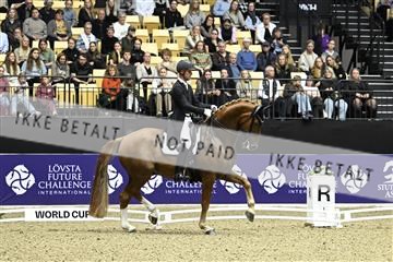 182194_kbb_03_Z092746.JPG