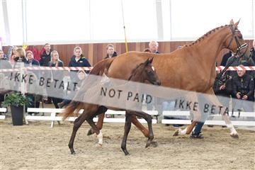 174363_kbb_01_R6II8732.JPG