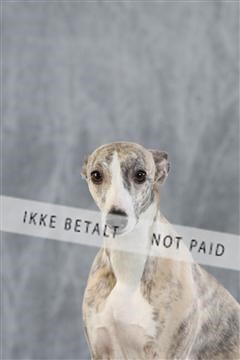 128239_le_kort_ 02_0023.JPG