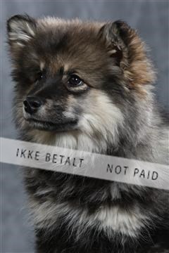 128239_le_ 04_0026.JPG