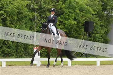 139835_sg_02_IMG_8452.JPG