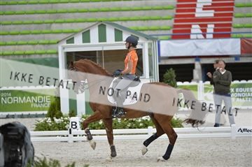 144462_bc_06__BC11313.JPG