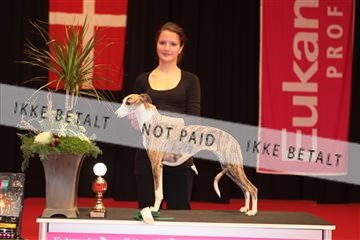 126827_tl_04_IMG_9808.JPG