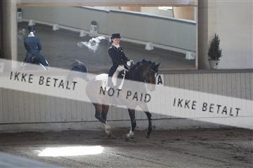139267_kl_1_8M1Q6766.JPG