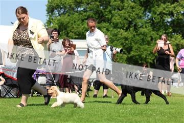 181564_rin_02_R62_2834.JPG