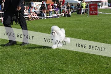 130370_se_02_IMG_6661.JPG