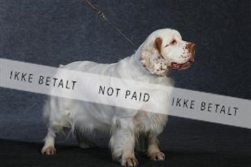 132082_le_ 01_IMG_1015.JPG