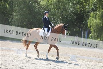 168732_mtp_01_3M5A7914.JPG