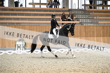 182176_kbb_01_Z094747.JPG