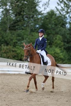 156196_nn_01_IMG_6384.JPG