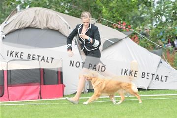 130370_tl_02_IMG_7662.JPG