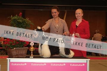 124188 _tl_02_IMG_9212.JPG