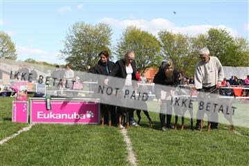 134871_ms_02_IMG_3805.JPG
