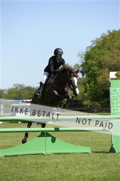 139815_ms_01__MS27434.JPG