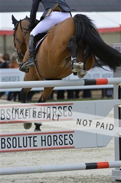 139644_abo_10__AB10848.JPG