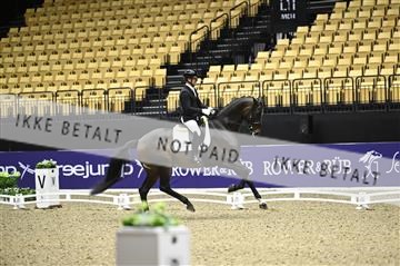 182194_kbb_02_Z098272.JPG