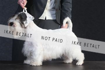 132082_le_ 01_IMG_0331.JPG