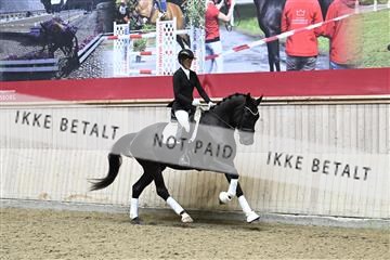 182241_kbb_01_Z095054.JPG