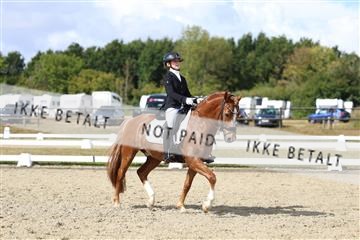 181894_mtp_05_R62_4516.JPG