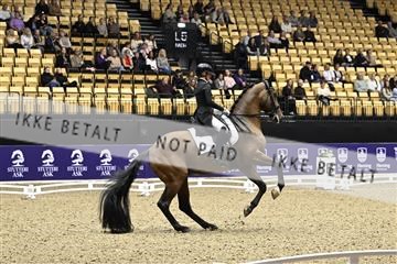 182194_kbb_03_Z090330.JPG