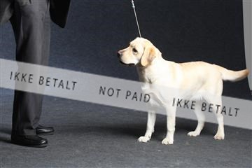 132082_le_ 01_IMG_1434.JPG