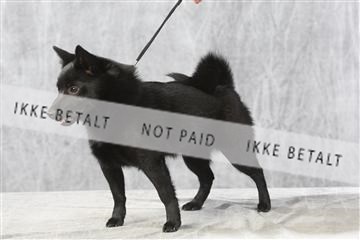 129608_le_ 01_0654.JPG