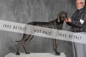 130054_le_ 03_0419.JPG