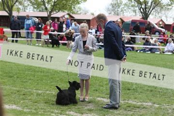 134871_ms_04_IMG_0243.JPG
