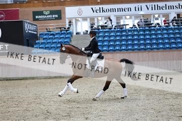 181887_mtp_05_R62_9749.JPG