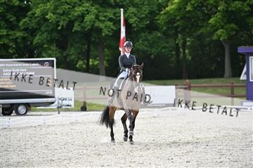 176255_mtp_02_Z09_2988.JPG