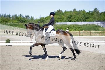 181449_kbb_01_6II9017.JPG