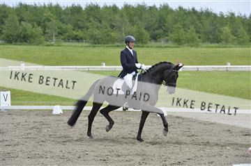 140040_abo_01__AB16678.JPG