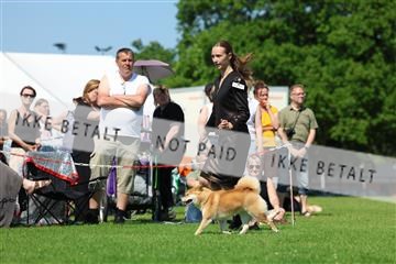 181564_rin_02_R62_3723.JPG