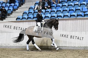 182241_kbb_01_Z094370.JPG