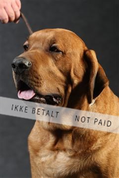 132082_le_ 01_IMG_0145.JPG