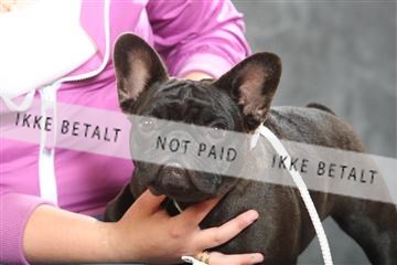 130054_le_ 01_0132.JPG