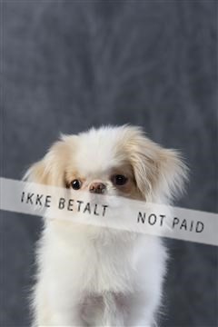 128239_le_kort_ 01_0119.JPG