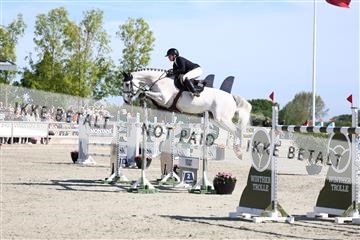 181436_avh_02_3504.JPG