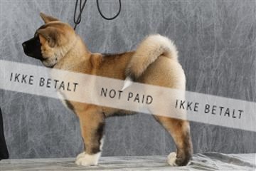 128239_le_ 06_0047.JPG