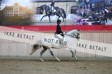 181887_mtp_02_R62_7472.JPG