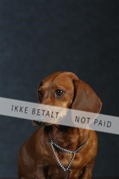 132082_le_ 01_IMG_0308.JPG