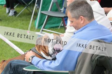 130370_tl_02_IMG_7670.JPG