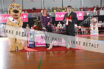 6068_ma_05_IMG_5627.JPG