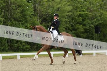 139835_sg_01_IMG_8055.JPG