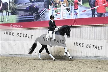 182241_kbb_01_Z093941.JPG