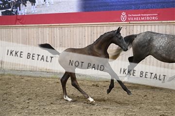 181754_kbb_01_Z093580.JPG