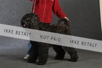 132082_le_ 01_IMG_0993.JPG